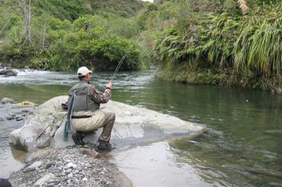 Taumarunui